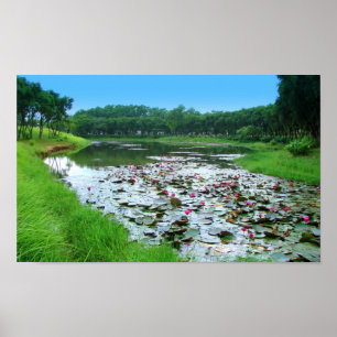 aanraking van de natuur poster