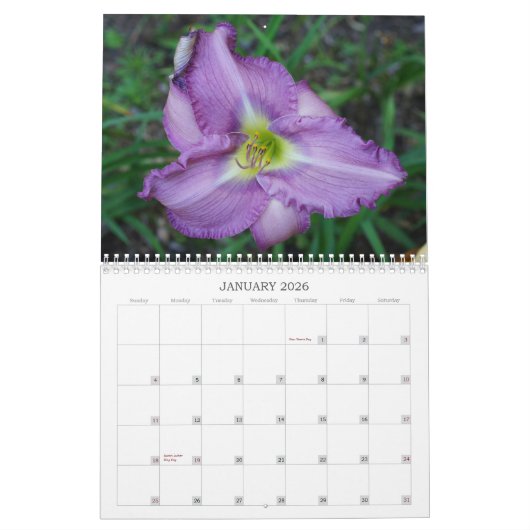 Aanraking van de zon Daylilies II Kalender (Jan 2026)