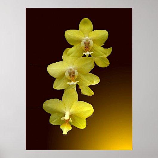 Aanraking van oosterse poster (Voorkant)