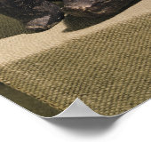 Aantal vrouwen in zitplaatsen, 3500-2500 BC Poster (Hoek)