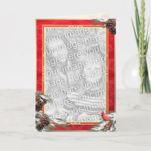 Aantrekkelijke kardinaal en dennenappels op een ro feestdagen kaart