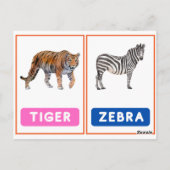 Aantrekkelijke Wild Animal Flashcards ,Lion en Tig Briefkaart (Achterkant)