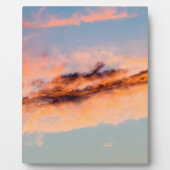 aantrekkingsverbruik fotoplaat (Voorkant)