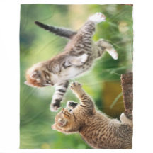 AANVAL KITTEN