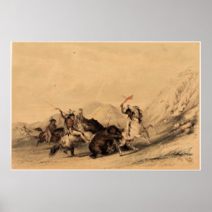 Aanval op het Grizzly Beer, 1844 George Catlin Poster