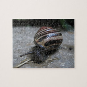 Aanval van de gigantische slak ontspannende zelfzo legpuzzel