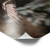 Aanvalmodi met rode staartbuik foto afdruk (Hoek)