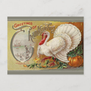 aanvoer van de Thanksgiving Puritans Briefkaart