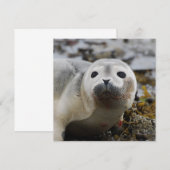 Aanvragen voor afdichtingen kaart (Voorkant / Achterkant)