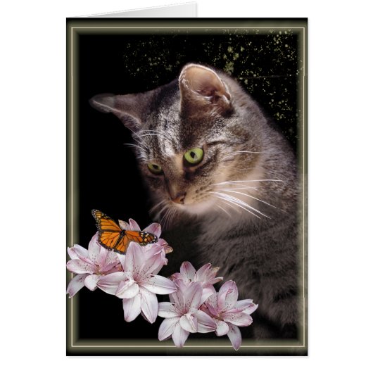 Aanwezigheid (Voorkant)