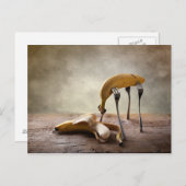 Aanwezigheid Briefkaart (Voorkant / Achterkant)