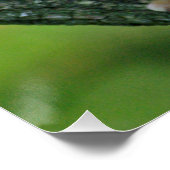 aap 004 perfect poster (Hoek)