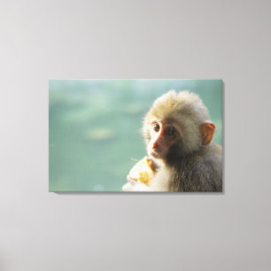 aap 3 canvas afdruk