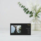 Aap aan de boom, dierentuin visitekaartje (Staand voorkant)