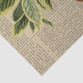 aap collage tissuepapier (Detail)