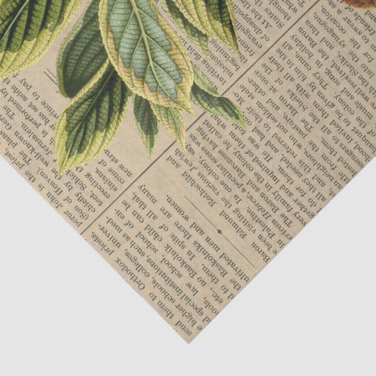 aap collage tissuepapier (Detail)