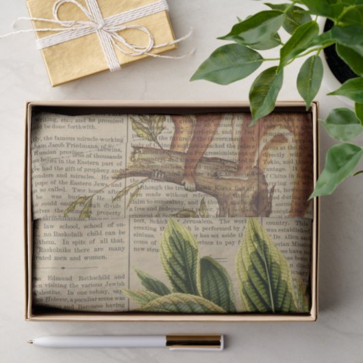  aap collage tissuepapier (Geschenk)