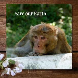 aap - grootvader glazen onderzetter