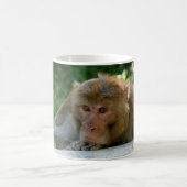 aap - grootvader koffiemok (Center)