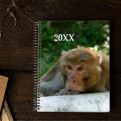 aap - grootvader planner