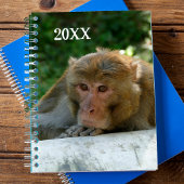 aap - grootvader planner