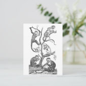  aap-illustratie - 1800 apen briefkaart (Staand voorkant)