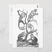  aap-illustratie - 1800 apen briefkaart (Voorkant / Achterkant)