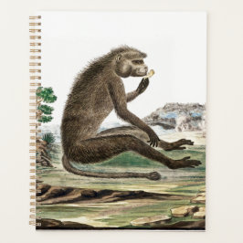  aap illustratie | Zoo Animal Ape Jigsa Planner