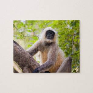 Aap in de jungle van Ranthambore National Park Legpuzzel