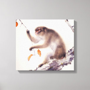 aap in een Persimmon-boom Canvas Afdruk