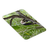 aap in het Oerwoud Magneet (Rechterzijde)