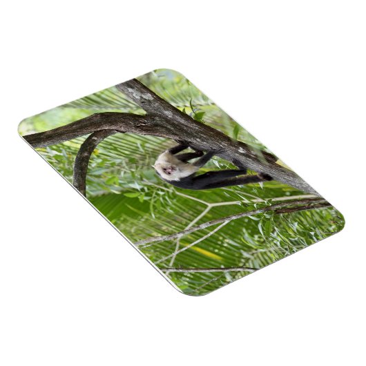 aap in het Oerwoud Magneet (Rechterzijde)