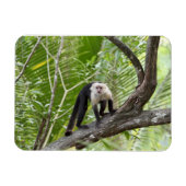 aap in het Oerwoud Magneet (Horizontaal)