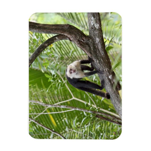 aap in het Oerwoud Magneet (Verticaal)