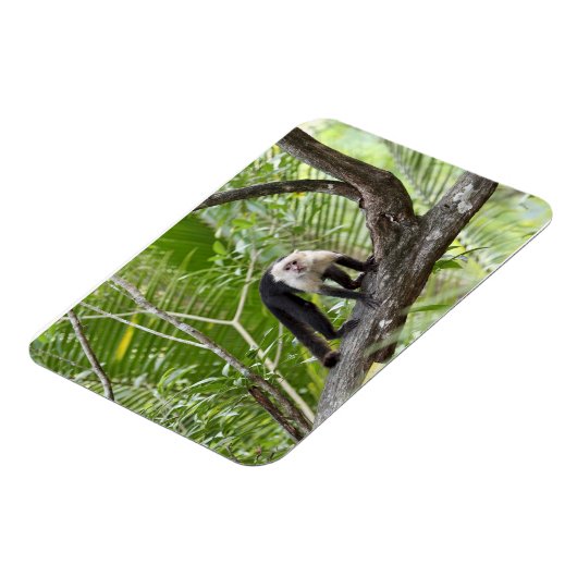 aap in het Oerwoud Magneet (Linkerzijde)