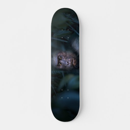 aap in het Oerwoud Skateboard (Voorkant)
