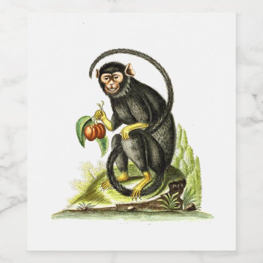 aap met vruchten wijn etiket (Enkel label)