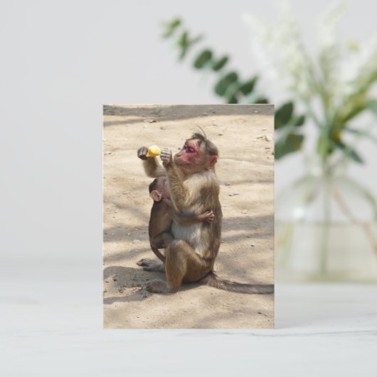 aap - Moeders ontbijt Briefkaart (Staand voorkant)