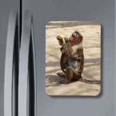 aap - Moeders ontbijt Magneet