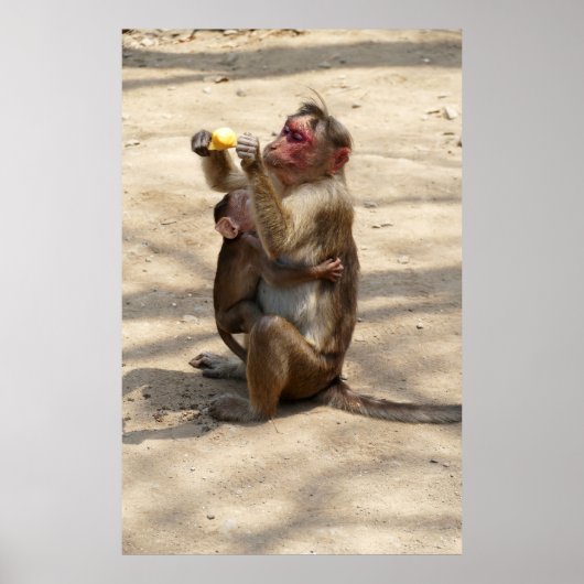 aap - Moeders ontbijt Poster (Voorkant)