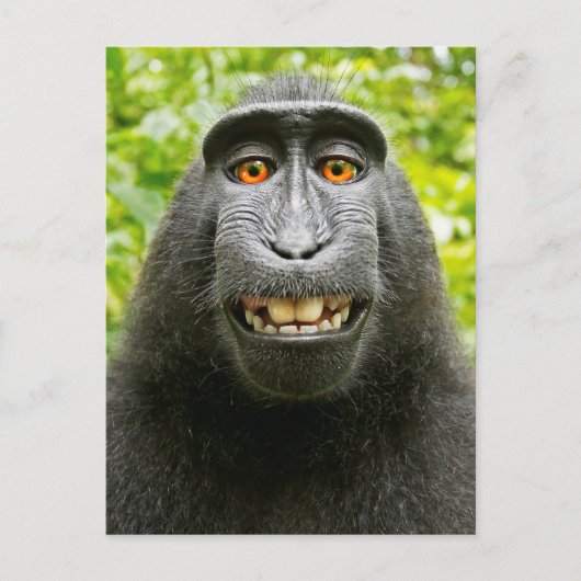 Aap Selfie Briefkaart (Voorkant)