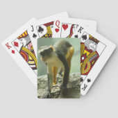 aap speelkaarten (Achterkant)