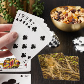 aap speelkaarten (Insitu)
