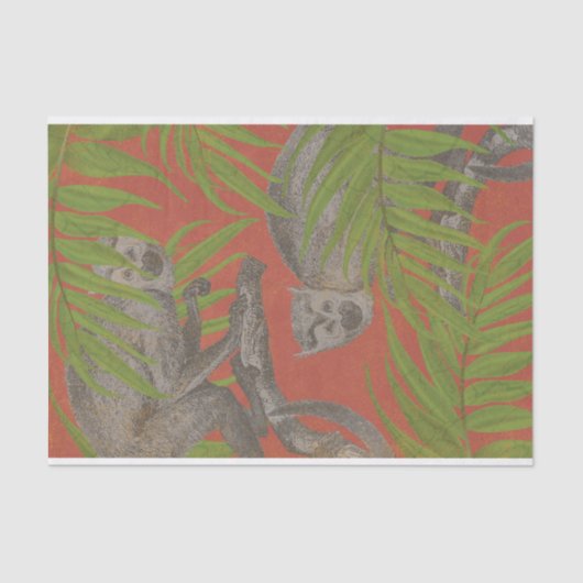 aap tissuepapier (Voorkant)