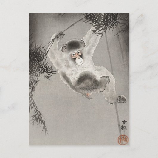 aap uit de afdeling Bamboe , Koson , Animal Briefkaart (Voorkant)