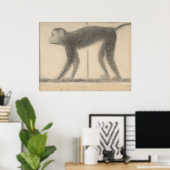 Aap van Georges Seurat Poster (Thuiskantoor)