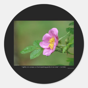 Aard van de liefde Wilde roos lente storm schoonhe Ronde Sticker