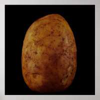 Aardappel