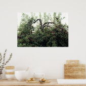 Aardappelbomen Poster (Keuken)