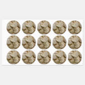 Aardappelchips Labels (Vel)